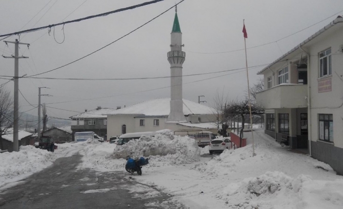 Yenice Taban köyü karantina altına alındı