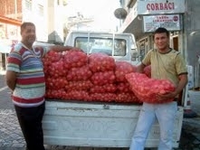 KIŞLIK SOĞANLAR İLGİ GÖRÜYOR