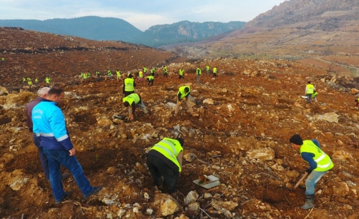 296 hektar alan yandı, 1.926 hektar alan ağaçlandırıldı