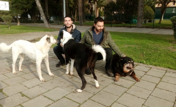 Bu mesleği yapabilmenin tek şartı sevgi