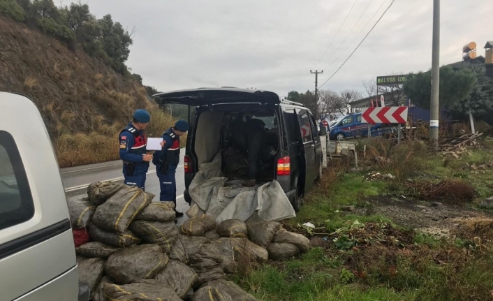 Gemlik’te 2 ton kaçak midye ele geçirildi