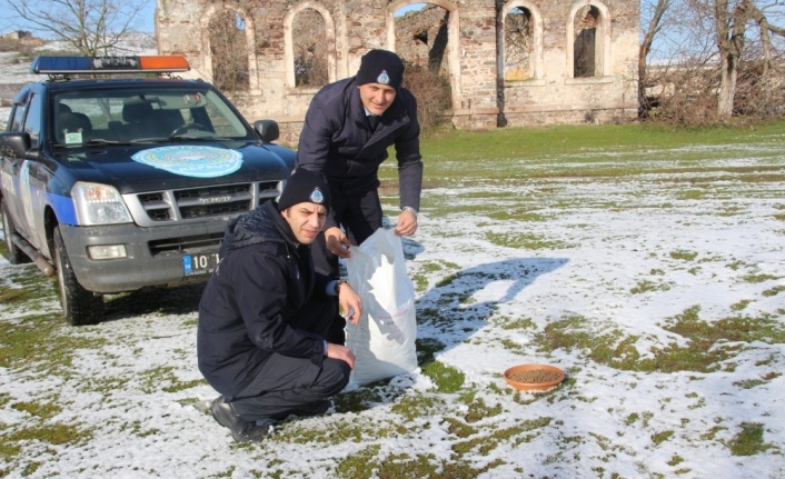 Kepsut Belediyesi sokak hayvanlarına mama dağıttı