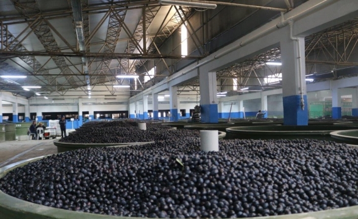 Marmarabirlik’te ürün ödemesi