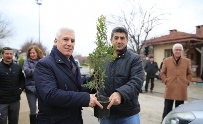 Nilüfer Belediyesi vatandaşlara fidan dağıttı