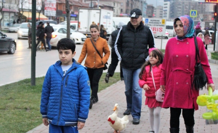 (Özel) Metropol ördek hayatını kaybetti