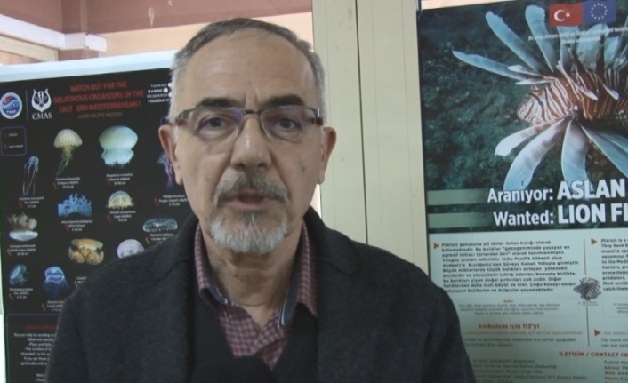 Prof. Dr. Tunçer: “Aslan balığı zehirlidir, insanı felç edebilir"
