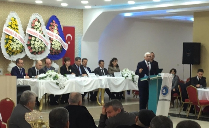 Zeytinin başkenti Gemlik