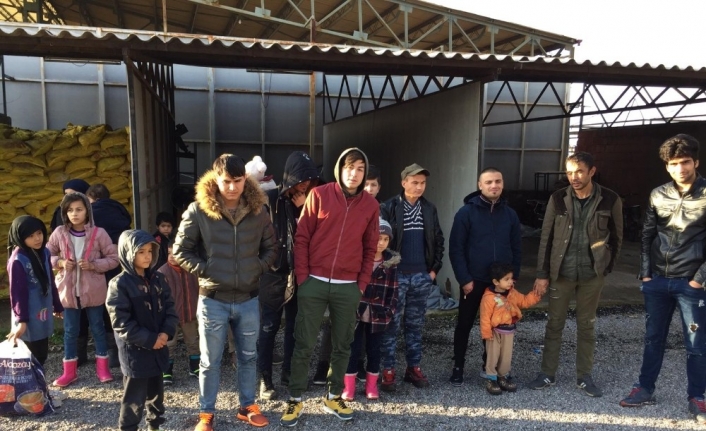 24 kaçak göçmen ve 7 organizatör jandarmadan kaçamadı