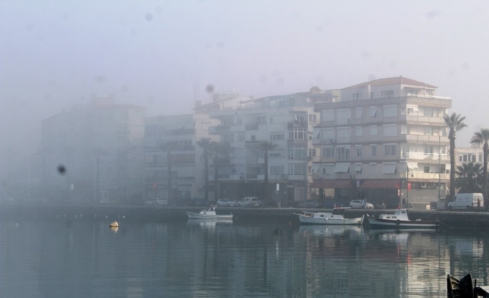 Ayvalık’ta sis korkusu