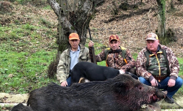 Domuz, avcıyı hastanelik etti, 20 bin liralık köpeğini öldürdü