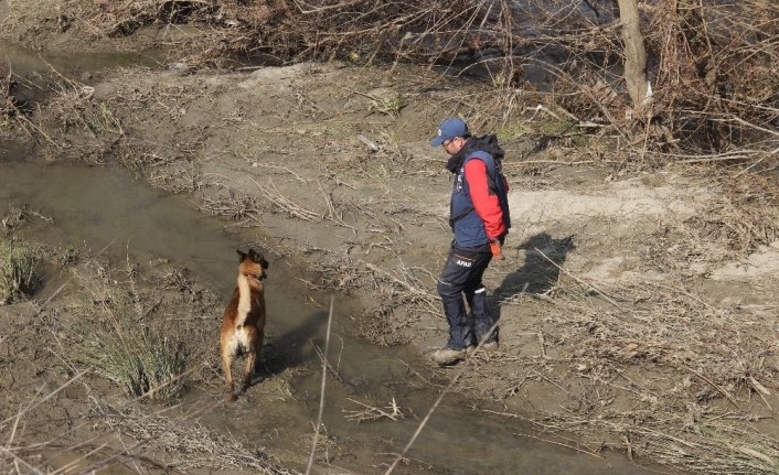 Kayıp genci arama çalışmaları için özel köpek getirildi