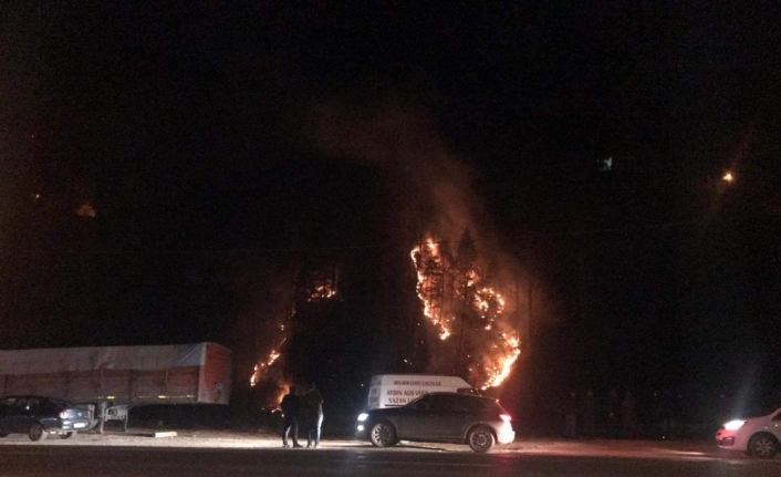 Kış ortasında orman yangını şoku