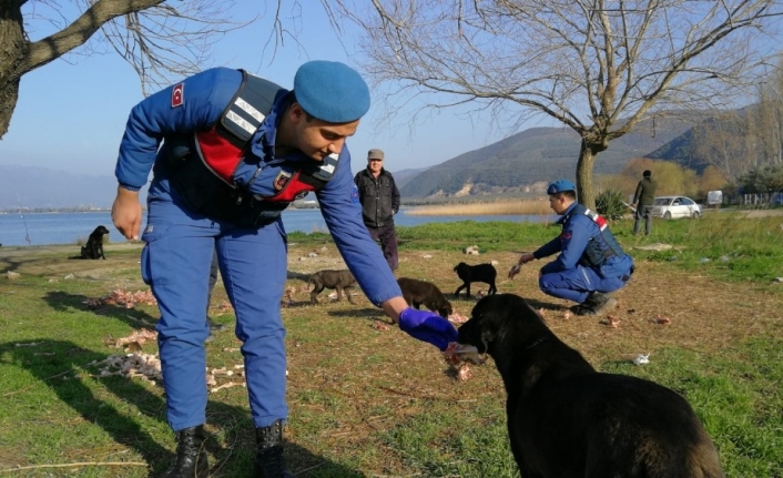 (Özel) Bursa’da Mehmetçik’ten örnek davranış
