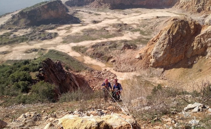 Uçuruma düşen keçiyi AFAD kurtardı