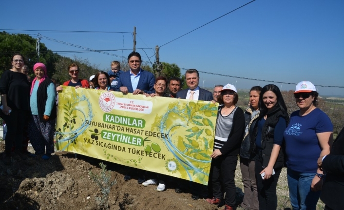 Aliağa’da Su Hasadı Projesi uygulaması
