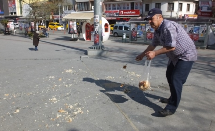 Burhaniye’de bayat ekmekler güvercinlere yem oldu