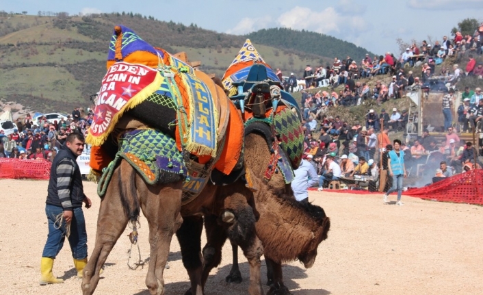 Develerin altında ölüyorlardı