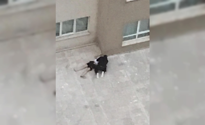 Dördüncü kattan atlayan kız arkadaşına "Ölme" diye yalvardı