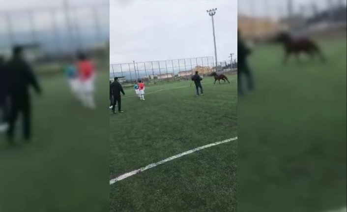 Futbol turnuvasında sahaya giren at korku dolu anlar yaşattı