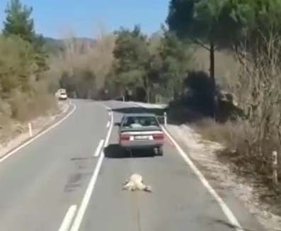 İzmir’de yürek sızlatan olay: Köpeği otomobile bağlayıp sürükledi