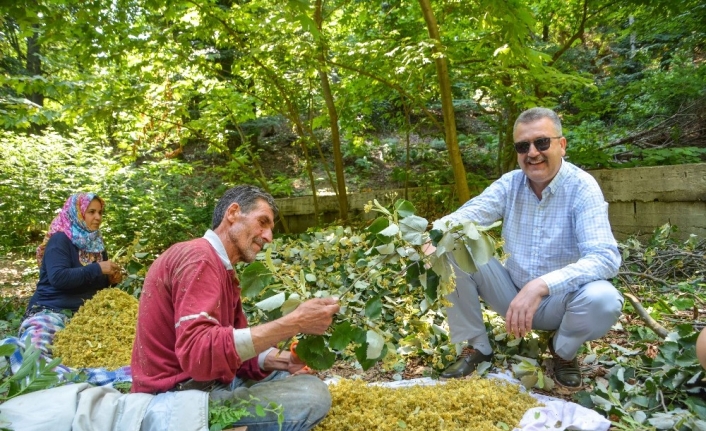 Karacabey’e Orman İşletme Müdürlüğü kuruluyor