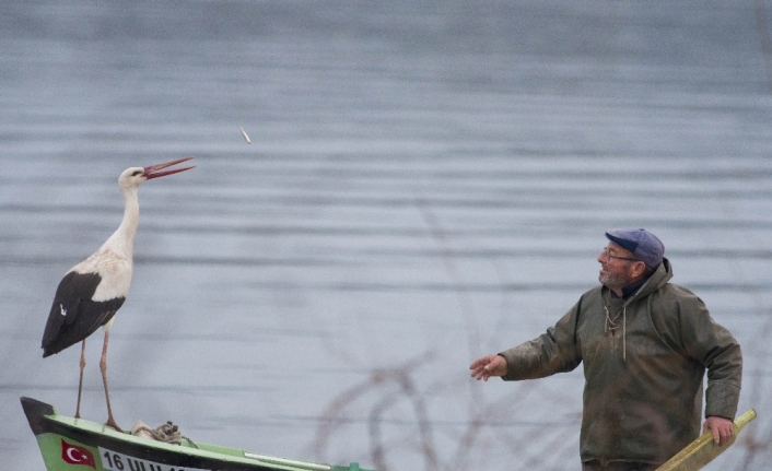 (Özel) Filmi çekiliyordu...Baharın müjdecisi ilk o geldi