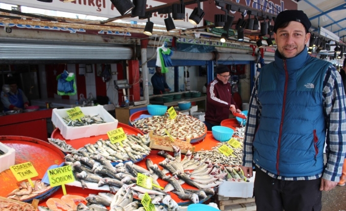 Havalar ısındı, balıklar bollaştı