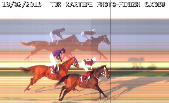 Şampiyon at icralık oldu