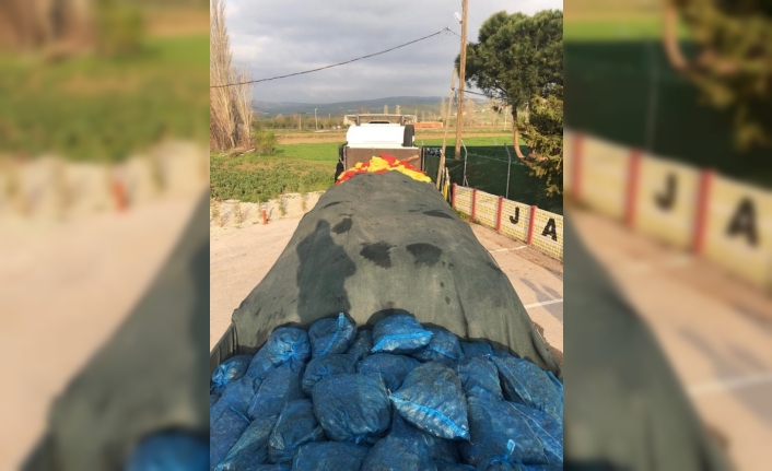 TIR’da 24 ton kaçak midye yakalandı