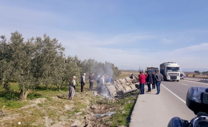 Yoldan çıkan araç zeytinliğe uçtu