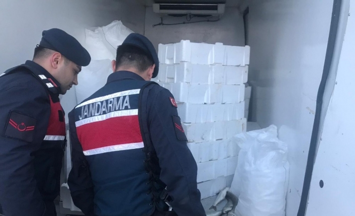 Bursa’da kaçak balık avcılığına geçit yok