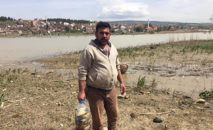 Bursa’da on binlerce balık kıyıya vurdu