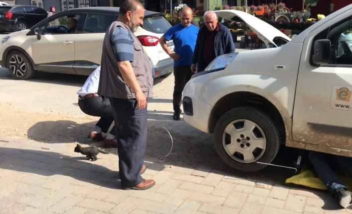 Motora sıkışan yavru kediyi PTT çalışanları kurtardı