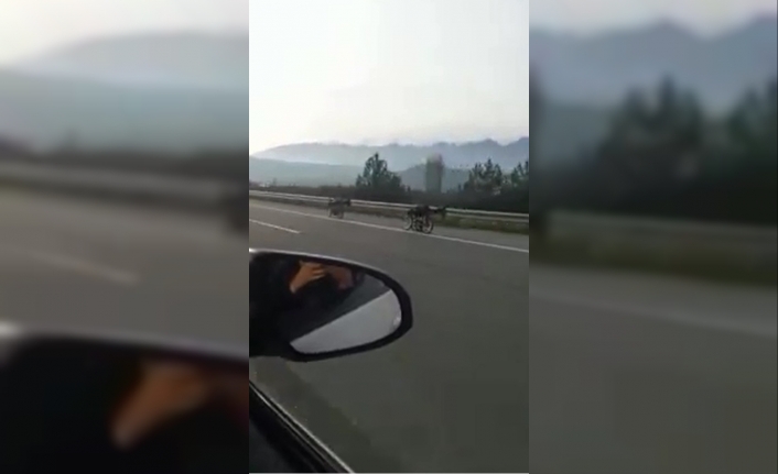 (Özel) Bursa’da ölümüne yarış böyle kaydedildi