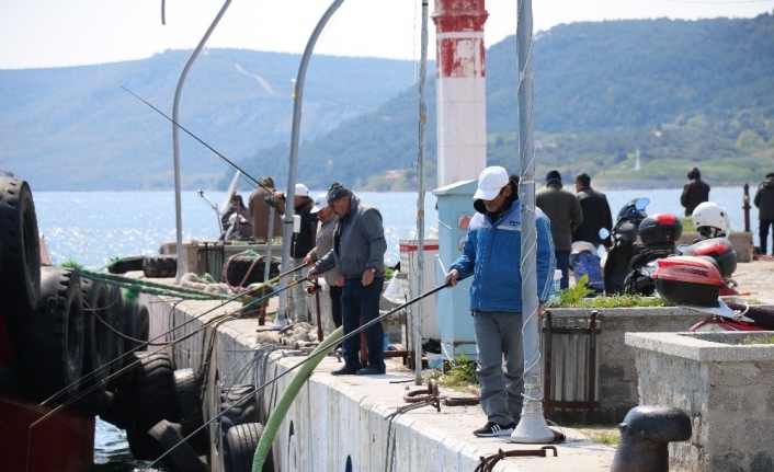 Olta balıkçıları bilinçsiz avlanmadan dert yanıyor