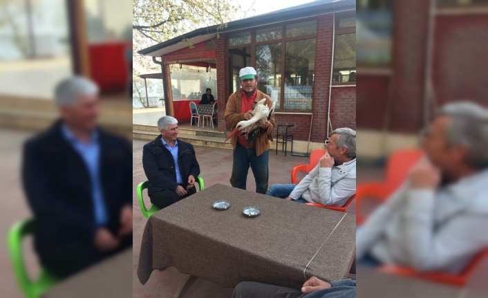 (Özel) Yaralı leyleğe çiftçi şefkati