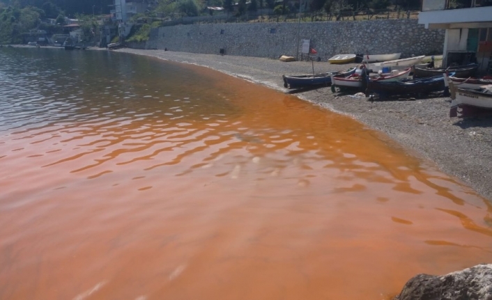 Bursa’da deniz kızıla boyandı, uzmanlar açıkladı:
