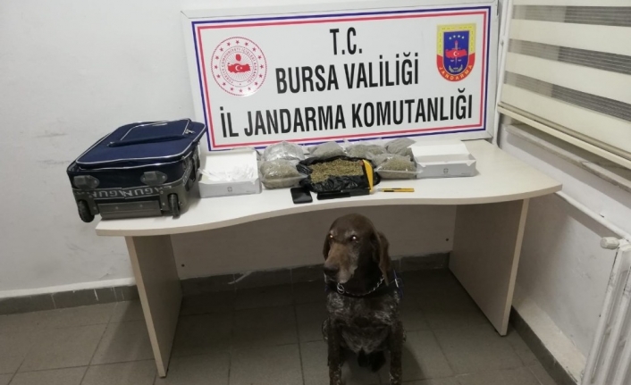 Enginar vakumlar gibi uyuşturucuyu vakumlamışlar