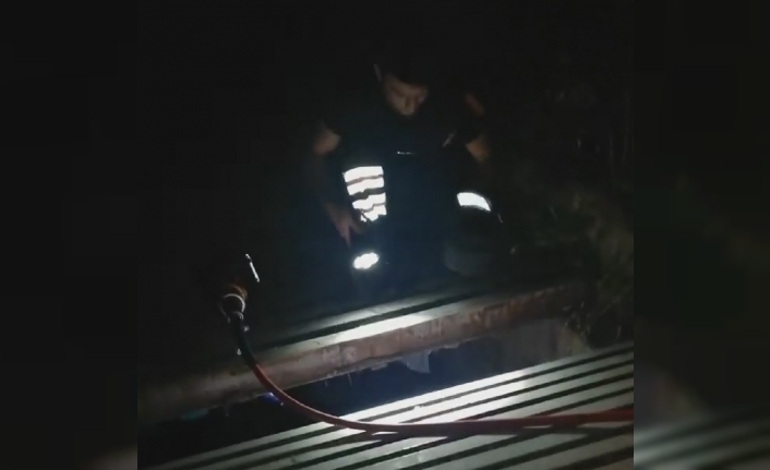 Mazgala sıkışan yavru kediyi itfaiye kurtardı