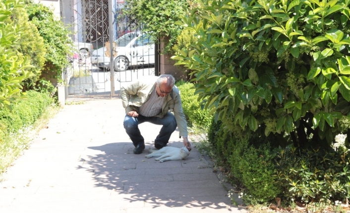 Anneler Günü’nü altı yavruyla karşıladı