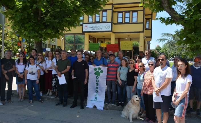 Turizm için geyiklerin ihaleye çıkmasına tepki