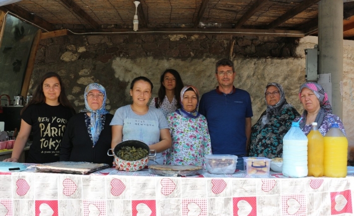 Babakale köyünde kadın dayanışması