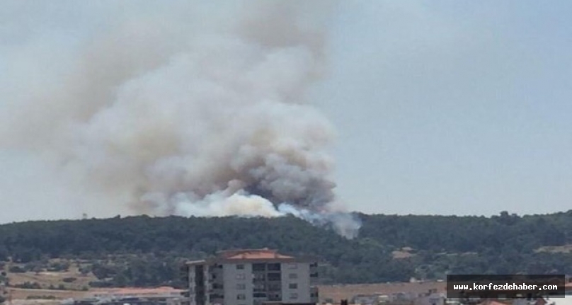 Buca’da orman yangını