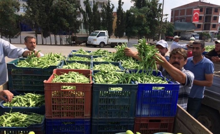 Fasulye altın çağını yaşıyor