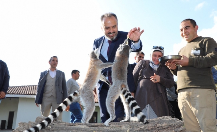 Hayvanat Bahçesi’nde bayram rekoru