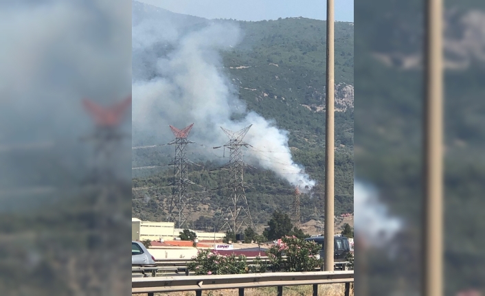 İzmir’de ormanlık alanda yangın