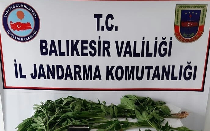 Jandarmadan uyuşturucu tacirlerine savaş