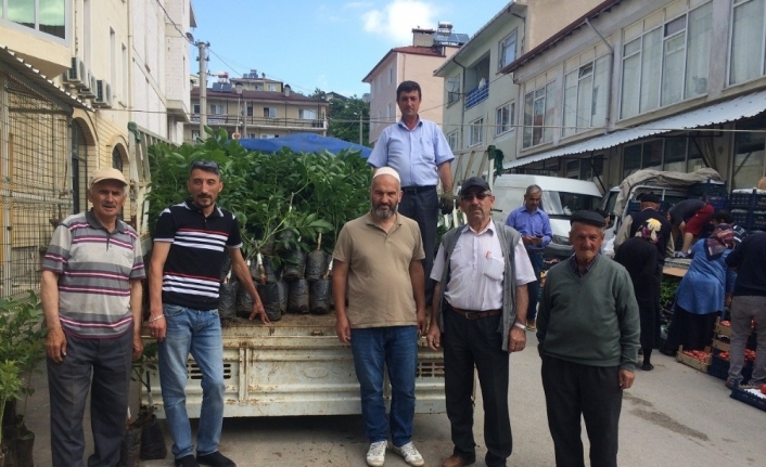 Keles Ziraat Odası ceviz ve badem fidanı dağıtıyor