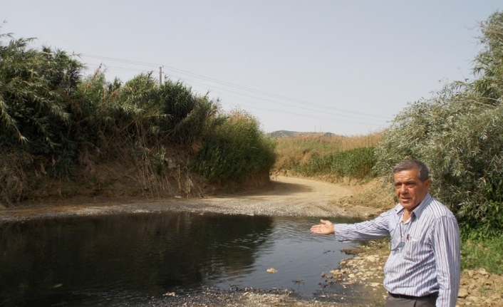 Küçük Menderes kapkara