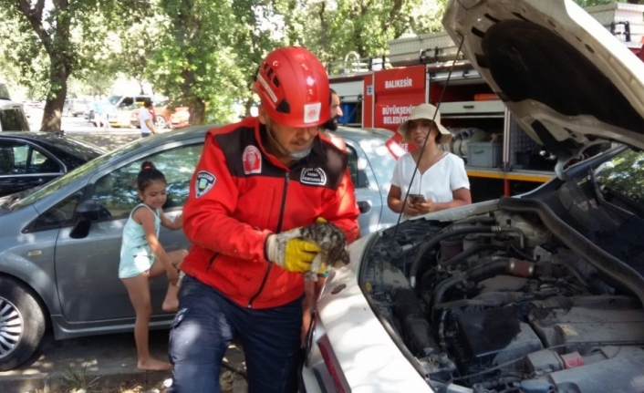 Otomobilin motoruna sıkışan kediyi itfaiye çıkardı